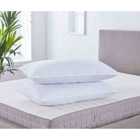 Martex Health Wellness Anti Allergy Microfresh Pillow Pair