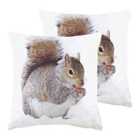 Evans Lichfield Photo Squirrel Twin Pack Polyester Filled Cushions Multi