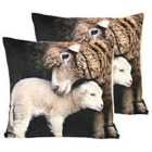 Riva Home Sherpa Lamb Twin Pack Polyester Filled Cushions White