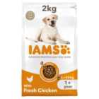 Iams For Vitality Dog Adult 1+ Years Large With Fresh Chicken 2kg