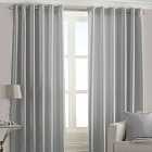 Riva Home Fiji Semi-Sheer Ringtop Eyelet Curtains (Pair) Polyester Steel (117X183Cm)