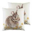 Evans Lichfield Woodland Hare Twin Pack Polyester Filled Cushions White