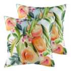 Evans Lichfield Fruit Peaches Twin Pack Polyester Filled Cushions Multi