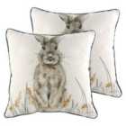 Evans Lichfield Oakwood Hare Twin Pack Polyester Filled Cushions Multi