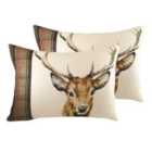 Evans Lichfield Hunter Stag Twin Pack Polyester Filled Cushions Multi 60 x 40cm