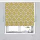 Paoletti Olivia Embroidered Blackout Roman Blind Polyester Citron (153X137Cm)