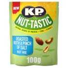 KP Nut-Tastic Roasted With A Pinch Of Salt Mix, 100g