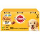 Pedigree Puppy Wet Dog Food Tins Mixed In Jelly 6 x 400g