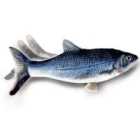 JML Flippity Fish Cat Toy - Blue
