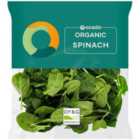 Ocado Organic Spinach Washed & Ready To Cook 200g