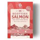 Clydach Farm Grain Free Scottish Salmon Wet Dog Food 395g