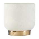 Interiors By Ph Small Ceramic Planter White With Gold Base