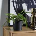 Black Luxe Ceramic Plant Pot
