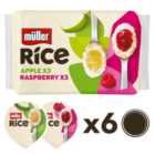 Muller Rice Apple & Raspberry Pudding Dessert 6 x 170g