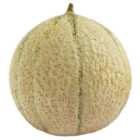 Wholegood Organic Cantaloupe Melon