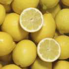 wilko Large Lemon Tree 4/5L Pot
