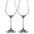 Auris Collection White Wine Glasses Set Of 2