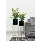 Green Decore Vivid Set Of 2 Planters With Stands Black And Brass