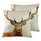 Evans Lichfield Stags Head Velvet Twin Pack Polyester Filled Cushions Multi