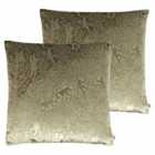 Kai Tilia Polyester Filled Cushions Twin Pack Cotton Bronze