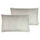 Kai Demeter Polyester Filled Cushions Twin Pack Mercury