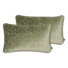 Prestigious Textiles Pharoah Polyester Filled Cushions Twin Pack Viscose Olive