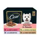 Cesar Deliciously Fresh Dog Food Pouches Mixed Selection in Sauce 12 x 100g