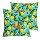 Evans Lichfield Orange Blossom Outdoor Polyester Filled Cushions Twin Pack Multi