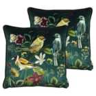 Evans Lichfield Midnight Garden Polyester Filled Cushions Twin Pack Birds