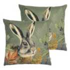 Evans Lichfield Forest Hare Portrait Polyester Filled Cushion Twin Pack Grey