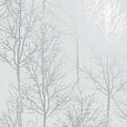 Holden Decor Rhea Trees Grey / Silver Effect Wallpaper