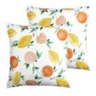 Furn. Les Fruits Outdoor Polyester Filled Cushions Twin Pack Multi