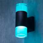 Litecraft Remote Black 2 Lamp Outdoor LED Wall Light