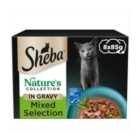 Sheba Natures Collection Cat Food Trays Mixed in Gravy 8 x 85g