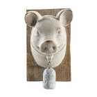 Pig Bust With Bell 12.5 X 14.5 X 19Cm