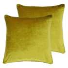 Paoletti Luxe Velvet Polyester Filled Cushions Twin Pack Ochre