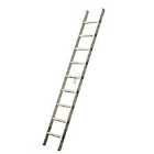 TB Davies 2.5M Professional Single Ladder