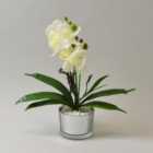 Artificial Cream Orchid in Silver Glass Plant Pot