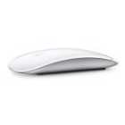 Apple Magic Mouse - Wireless Multi-touch Mouse