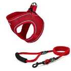 Bunty Voyage Harness Large Red and Clip-on Rope Lead X-large Red