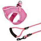 Bunty Voyage Harness Medium Pink and Clip-on Rope Lead Large Pink