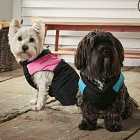 Bunty Dog Puffer Jacket - Pink - X-Large