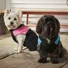 Bunty Dog Puffer Jacket - Pink - Medium