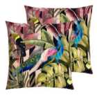 Evans Lichfield Toucan And Peacock Outdoor Polyester Filled Cushions Twin Pack Multi