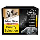 Sheba Select Slices Mixed Poultry Collection in Gravy Cat Trays 8 x 85g