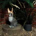 Garden Outdoor Solar Powered Light Up Animal Rabbit Ornament Gnome Decoration
