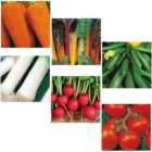 Johnsons Starter Vegetable Seed Bundle