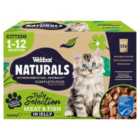 Webbox Premium Natural Kitten Pouch Selection In Jelly 12 x 100g