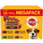 Pedigree Adult Wet Dog Food Pouches Farmers Selection in Gravy 40 x 100g