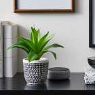 Artificial Leaves in Black and White Plant Pot